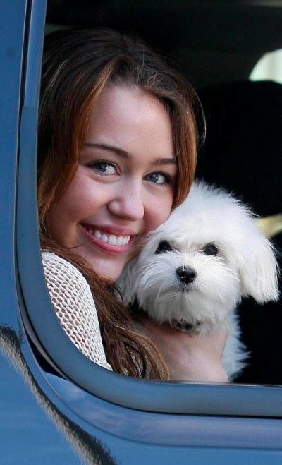 miley-cyrus-and-pooch-photos.jpg
